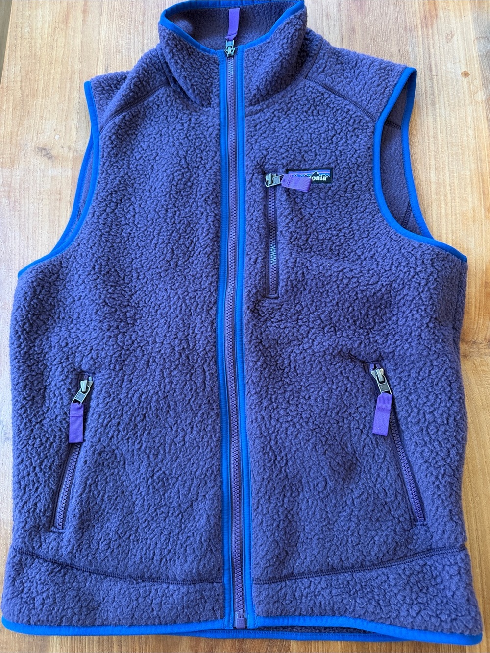 Patagonia Men’s retropile fleece vest